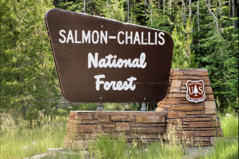 Senate Vote: Amendment Sanctions Sale Of National Forests, Public Land