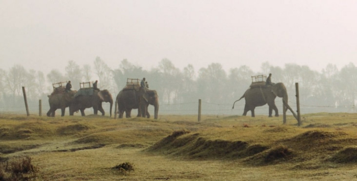 Glimpse Nepal, City To Jungle
