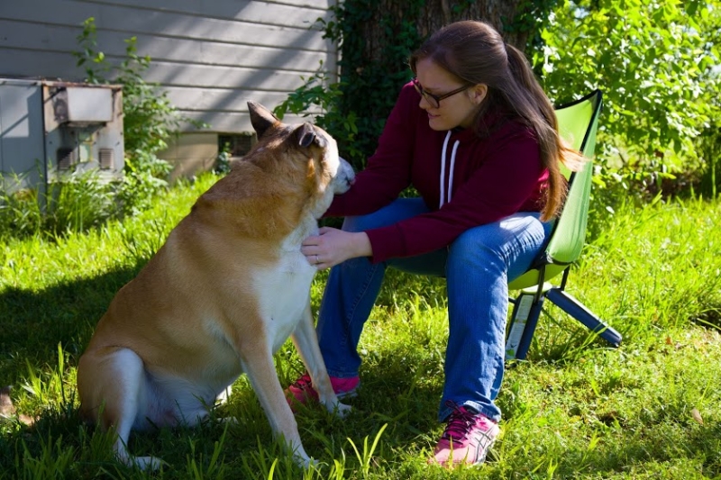 Wife Bogarts The Comfy Camp Chair