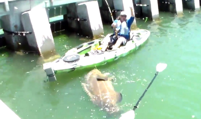 Fisherman Is Gonna Need A Bigger Boat