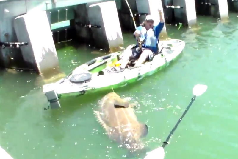 Fisherman Is Gonna Need A Bigger Boat