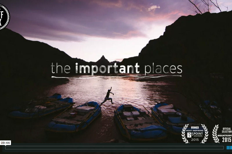 ‘The Important Places’ Will Pull At Your Heart