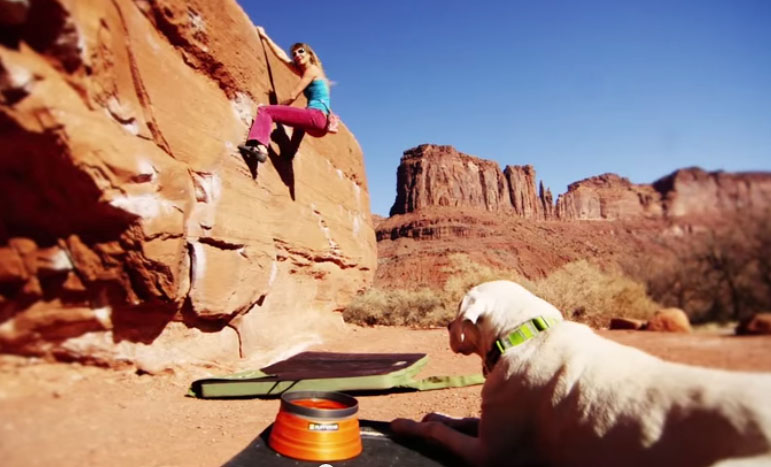 adventure dogs adoption