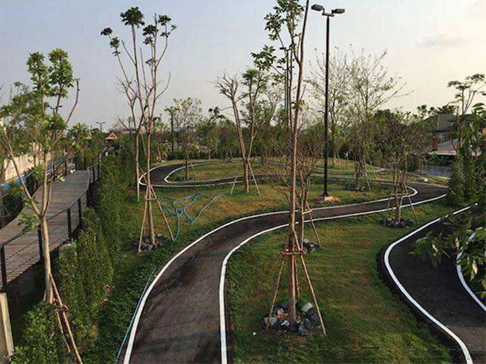 bike-park-thailand