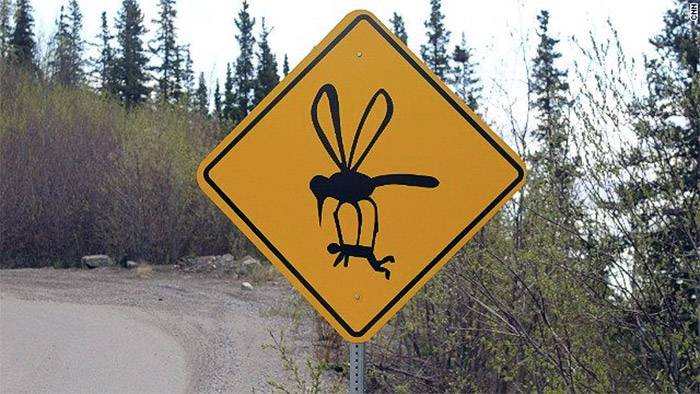 Mosquito Nation: Twitter Reveals Where People Are Most ‘Bugged’