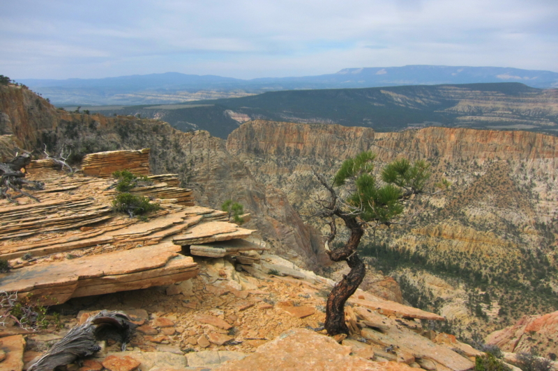 State Bills To Study Federal-To-State Land Transfers