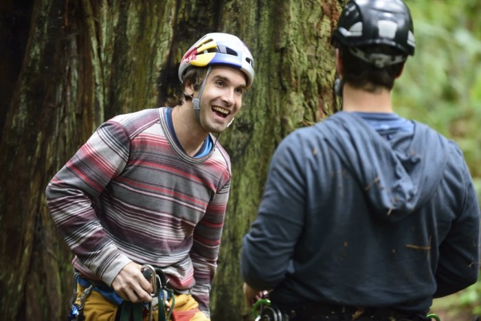 Sharma climbing redwood