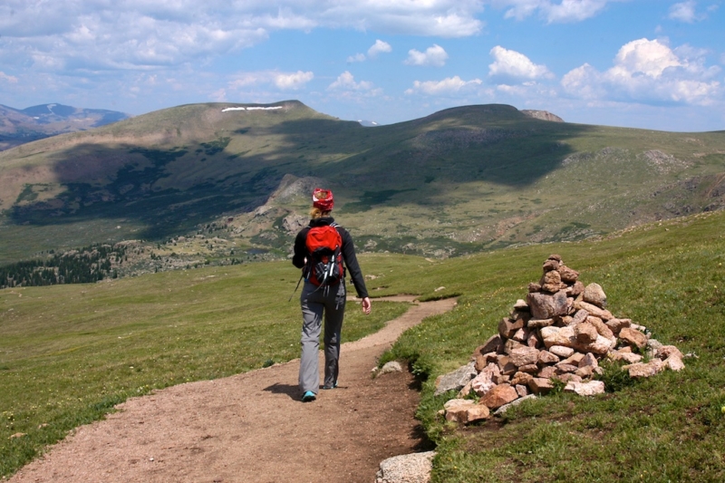 Lightning Strike Kills Dog, Injures Hikers On Colorado 14er