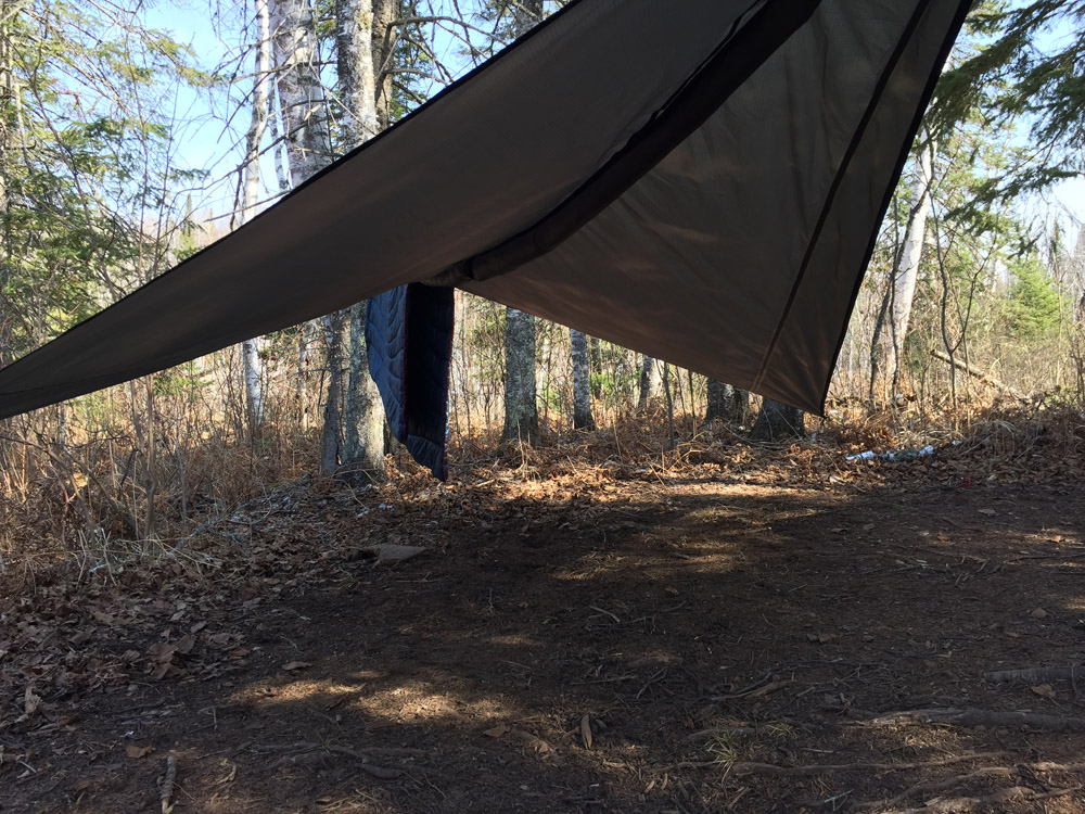 hennesy hammock snake skin
