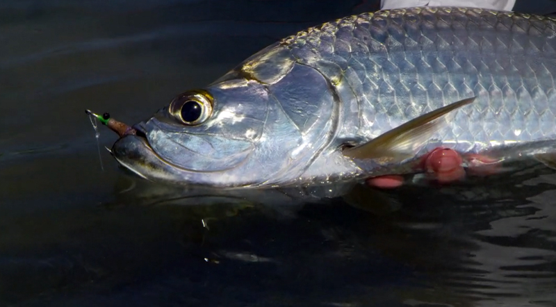 Big Fish, Little Boat: Saltwater Fishing By Kayak