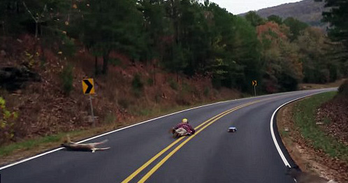 Skateboarder Hits Deer At Full Speed