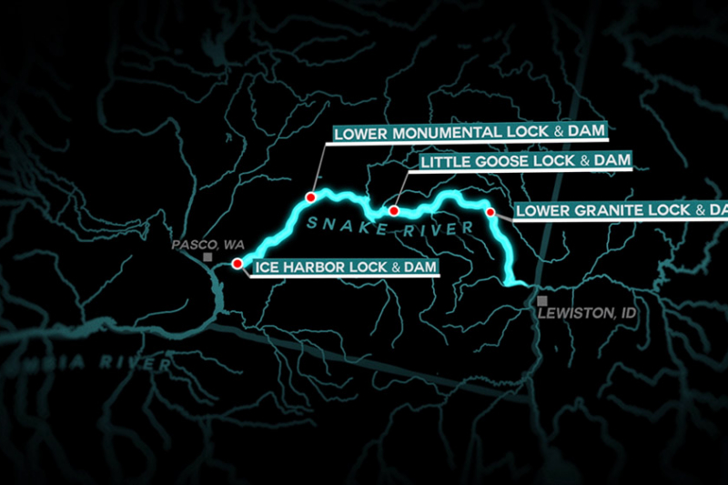 Freeing The Snake: Protecting America’s Pristine Salmon Rivers