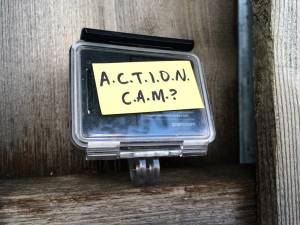 A.C.T.I.O.N. C.A.M. – To Bring, Or Not To Bring