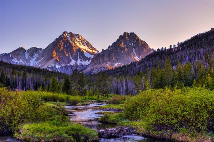 25 Earth Day Pledges: How To Be Better ‘Earthling’