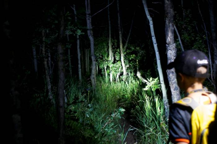 Flashlights at night