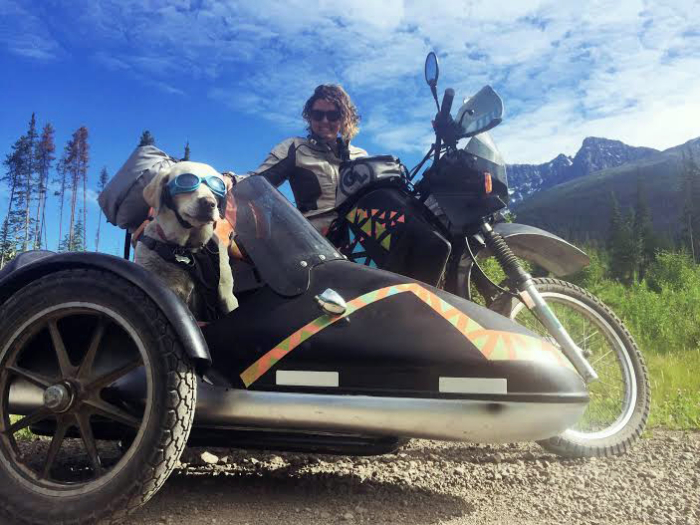 Dog as Copilot: Motorcycle Road Trip to Alaska