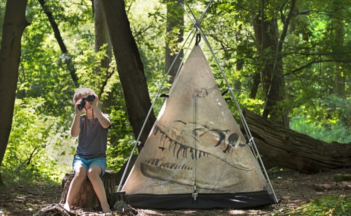 dinosaur tent