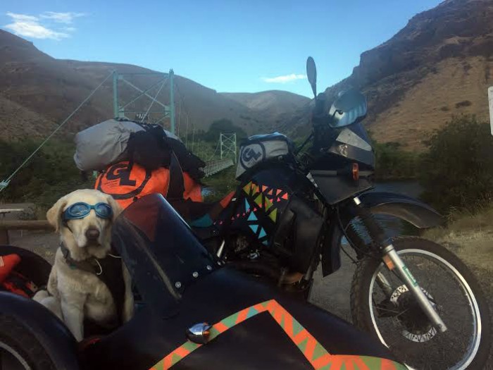 dog and bike