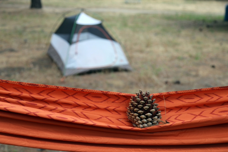 Hammock vs. Tent: The Great Sleep-Off