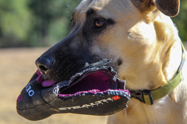 5.10 rogue women shoe