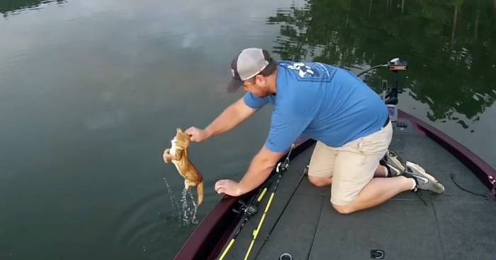 A New Kind Of ‘Catfishing’