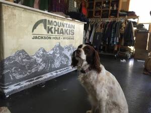 Fabrics & Fly Fishing: A Day With Mountain Khakis