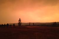 Vet Firefighter's View: Inside the Washington Wildfires