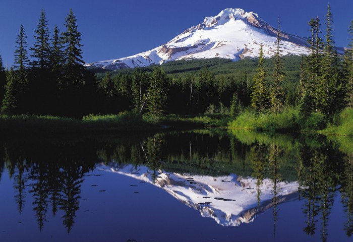 mount hood