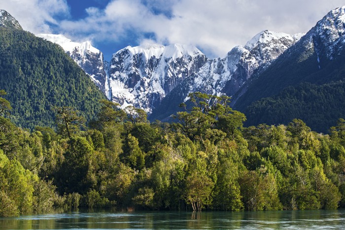 riverforestmountains