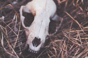 13 Outdoors Horror Stories… Happy Camping!