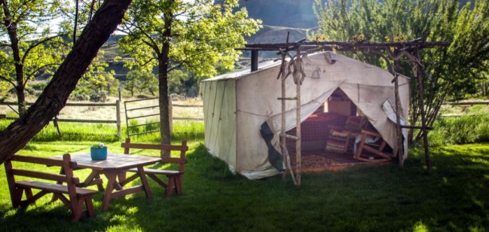 Cody Wyoming Camp Spot