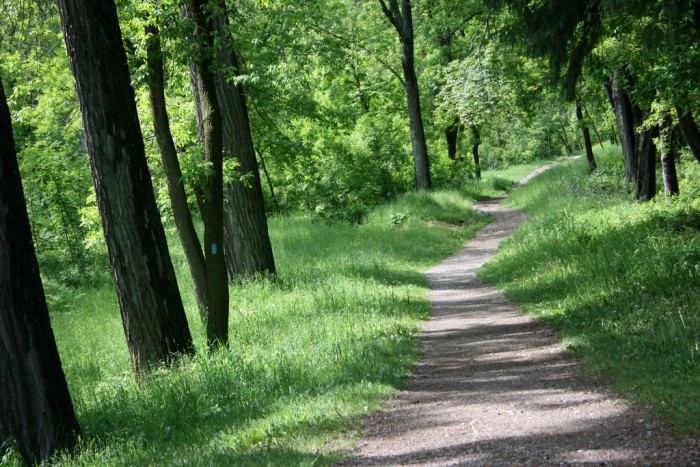 ‘Hike in Place,’ Recommends Superior Hiking Trail Association