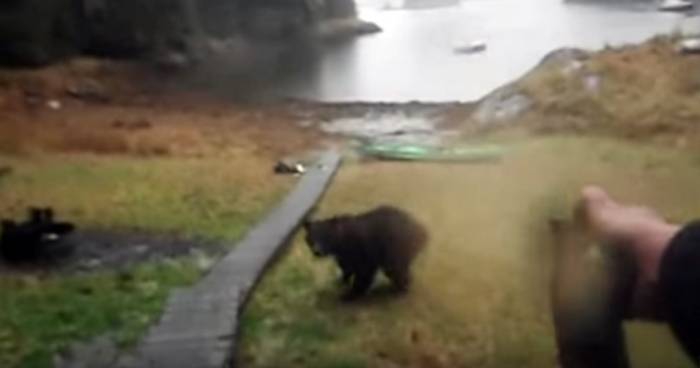 Woman Scolds Bear As It Chews Her Kayak