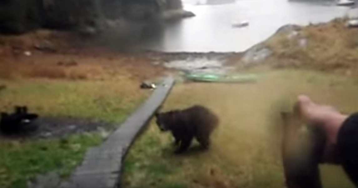 Woman Scolds Bear As It Chews Her Kayak