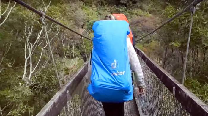 Hikers Survive Suspension Bridge Failure