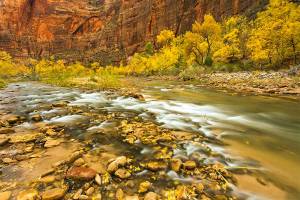 Best Fall Colors? Head To The Desert Southwest