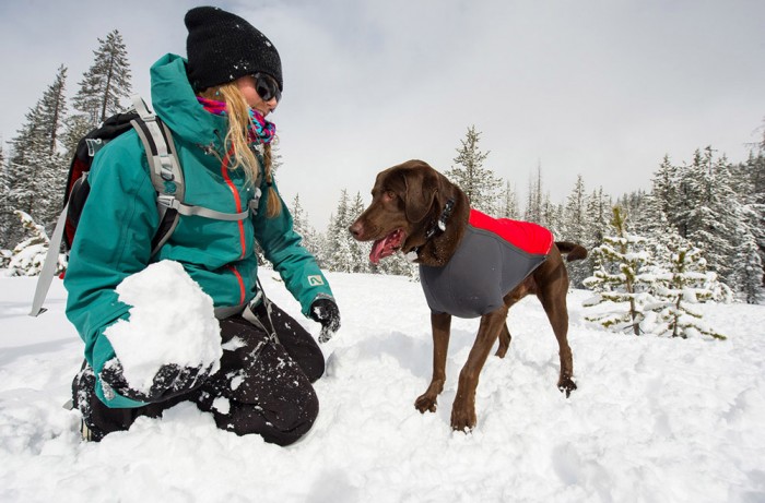 Ruffwear Powder Hound
