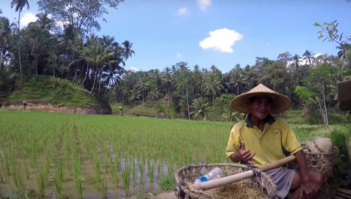 Explore Bali In Two-Minute Video