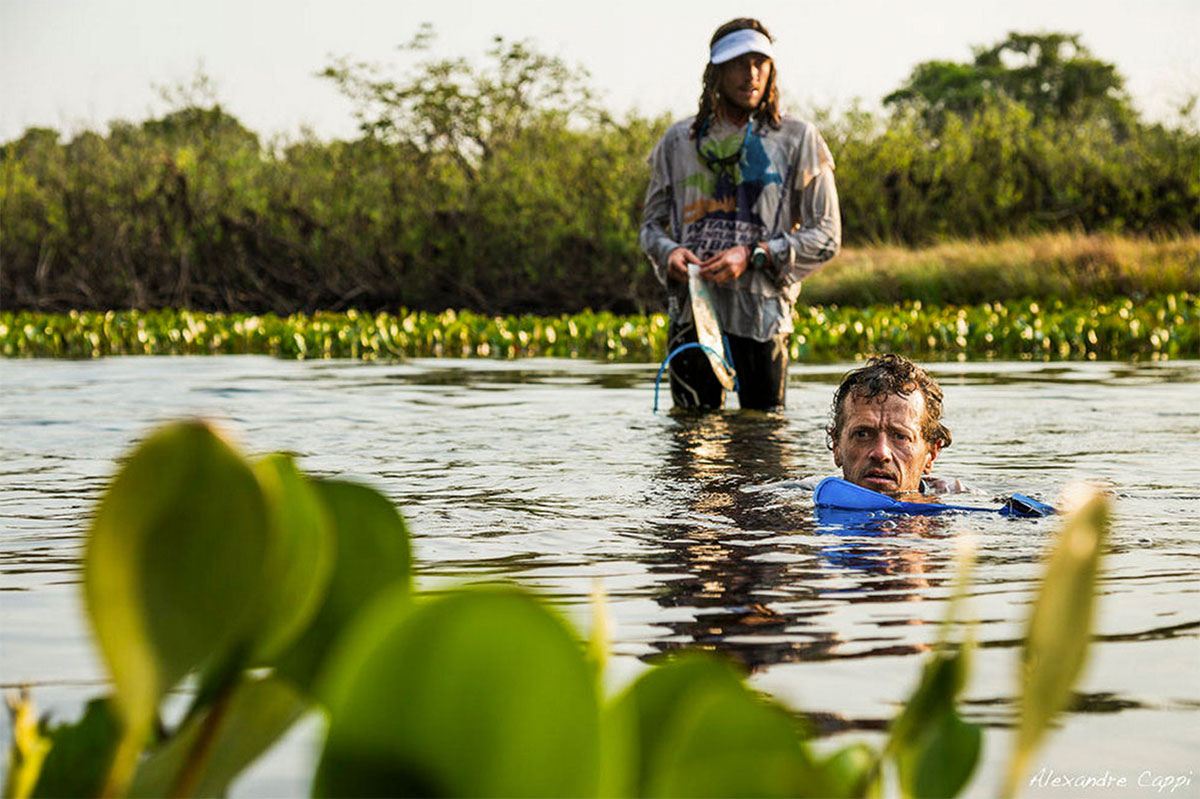 swimming-in-swamp