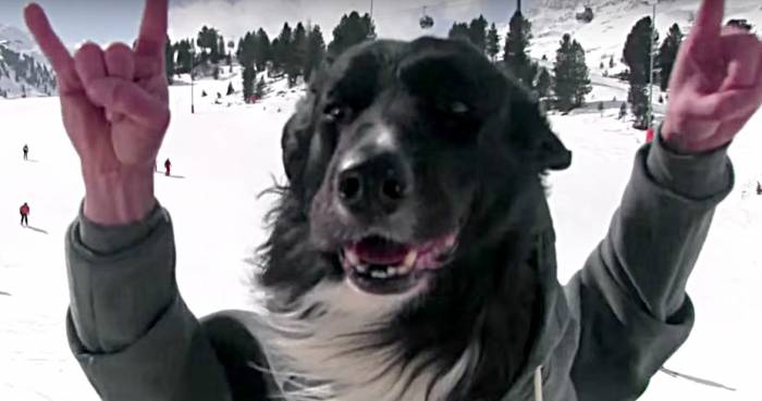 Skiers Have Been Photobombing Austrian Web-Cams, And It’s Hilarious