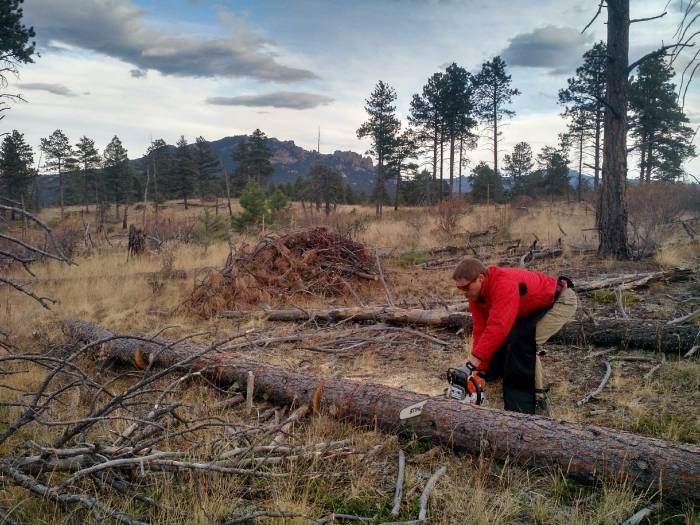 Sthil Chainsaw review