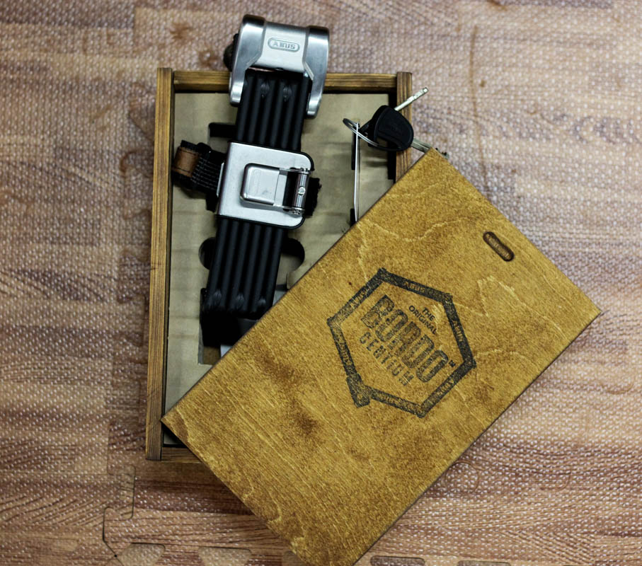 FrostBike-AbusHeritageLock