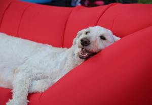 No Trees? No Problem With Inflatable Hammock