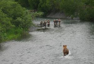 What It’s Like to Spray a Bear: One Man’s Takeaways From a Close Encounter