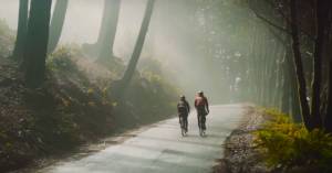 Bike-Packing The Redwoods