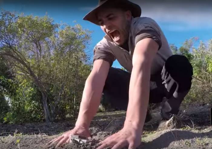Man Sticks Hands In Fire Ant Colony