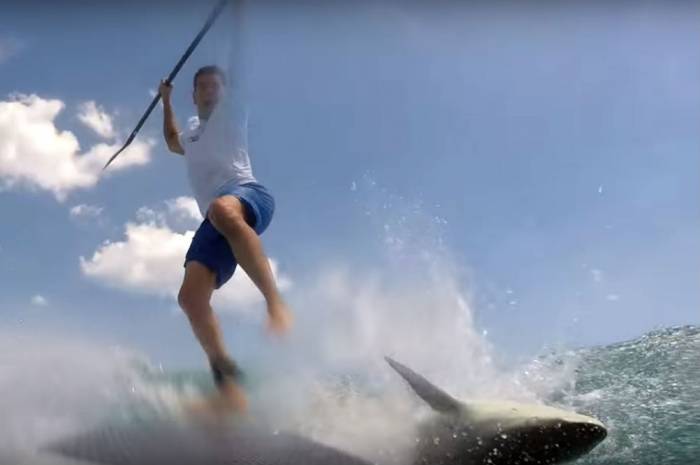 Spinner Shark Sends SUPer Sailing