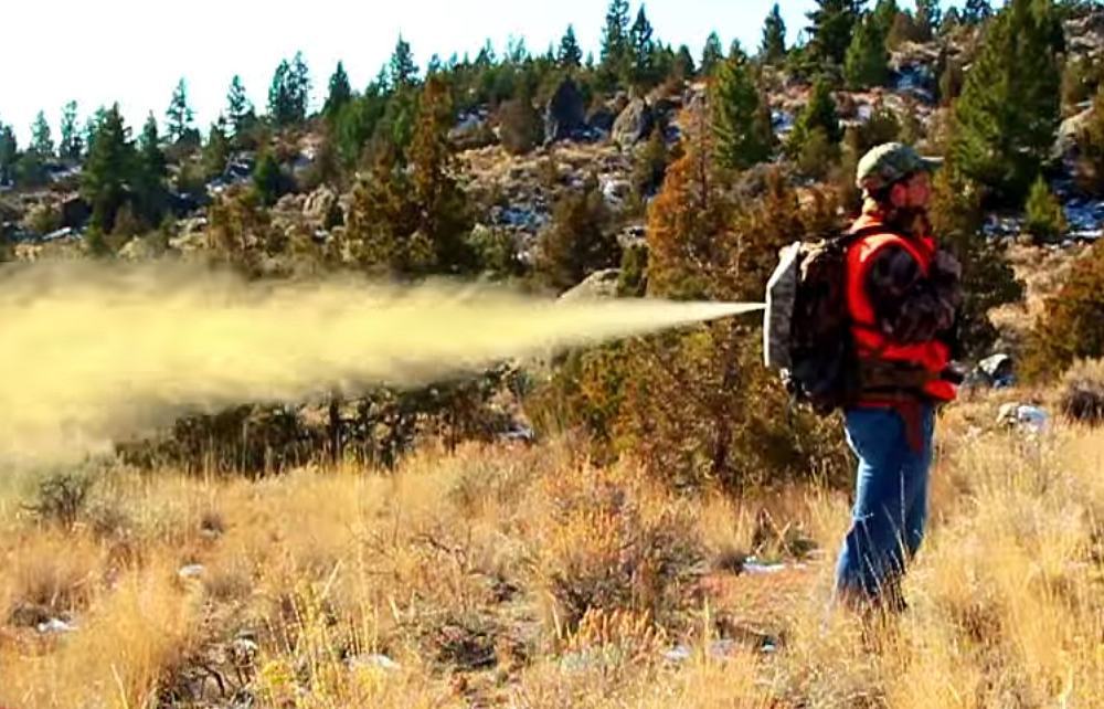 Would You Wear A 'Bear Spray Backpack?' GearJunkie