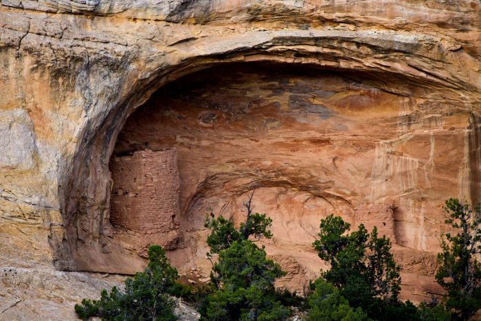 bears ears artifacts