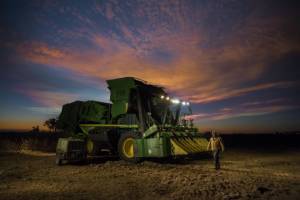‘Big Cotton’ Conspiracy? Untangling Industry Mislabeling